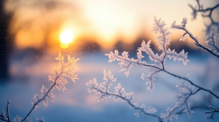 Fishermen transport gear on winter fishing sleds across a frozen lake in cold weather