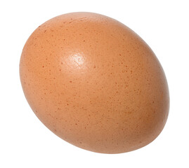 Whole raw brown egg on isolated background