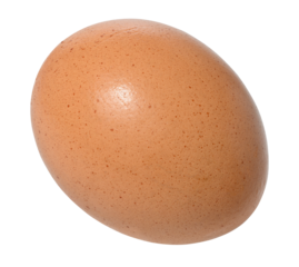Whole raw brown egg on isolated background