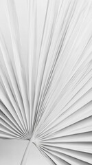 Minimalist white fan palm leaf texture, abstract botanical concept