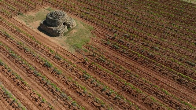 ORBIT FROM ABOVE OVER A TRULLO IN THE MIDDLE OF A FLOWERING VINEYARD