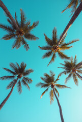 A Blue Sky With Palm Trees
