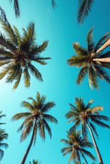 A Blue Sky With Palm Trees