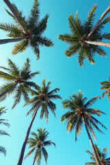 Fototapeta premium A Blue Sky With Palm Trees