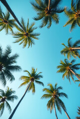 A Blue Sky With Palm Trees