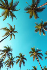 A Blue Sky With Palm Trees