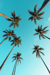 A Blue Sky With Palm Trees