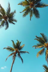 A Blue Sky With Palm Trees