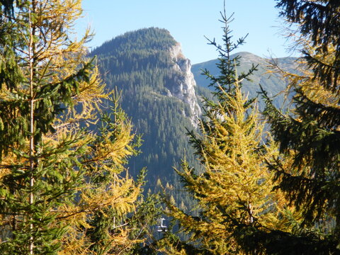Cable car route to Kasprowy Wierch, Kasper Peak in Polish Western Tatras, Tatra Mountains, green and yellow coniferous forests and sunny blue sky in autumn. Topics: Tatra National Park