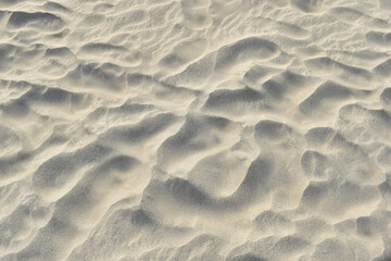 Fototapeta premium Close-up of wind-formed sand patterns on a beach. Smooth ripples in soft, golden sand. Minimalist sand texture with natural light.