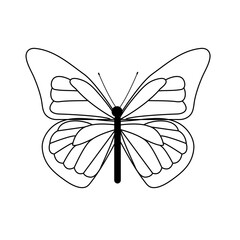 butterfly  nature, illustration, vector icon 