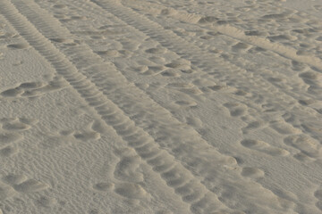 Tire tracks imprinted on sandy terrain. Pattern of vehicle tread marks on dry sand. Off-road vehicle tracks in a sandy environment.