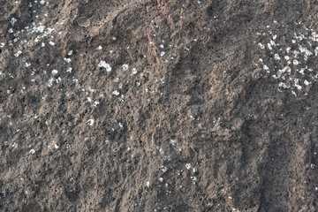 Close-up of a rough and textured rock surface. Raw stone surface showing organic shapes and lines. Earthy rock texture ideal for backgrounds or designs.