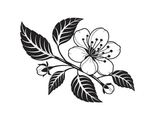 black and white illustration of a blooming flower branch with detailed leaves and buds, perfect for nature-themed designs and botanical art projects