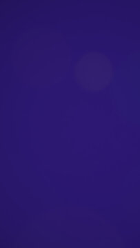 Bokeh Light Leaks Iris 5 Vertical Transitions MOGRT 118