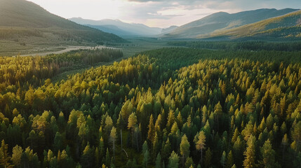 Solitary Sentinel of the Forest
Whispers Among the Trees
Guardian of the Woodland
Deep in the Heart of the Forest
Nature&rsquo;s Tower in the Wild