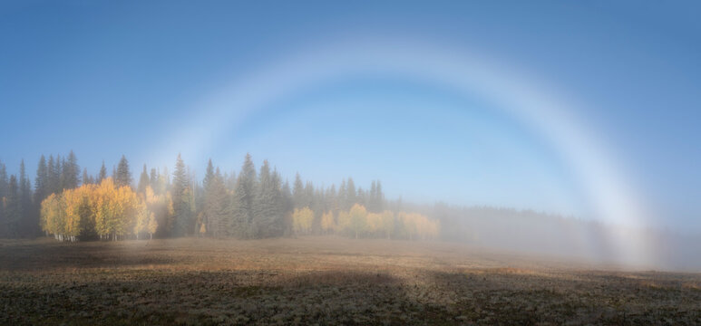 USA, Arizona, Grand Canyon National Park. Panoramic of rare sunrise fogbow on North Rim.