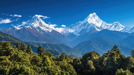 Fototapeta premium Majestic snow-capped Himalayas rising above lush green forests under a vibrant blue sky.
