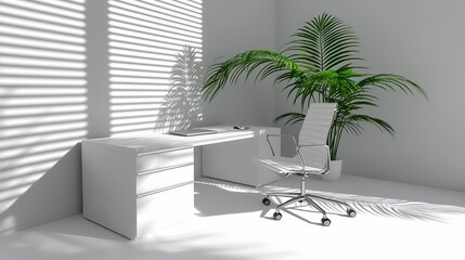 Minimalist white home office with plant and sunlight.