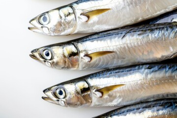Obraz premium Fresh silver fish on white background