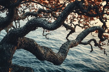 Obraz premium Majestic gnarled tree branches arch over a tranquil ocean, displaying autumnal hues.