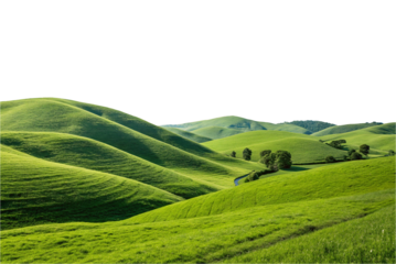 Green hills landscape cut out natural view grass beauty nature background fertile mountain white transparent farm outdoors ecosystem flora, plantation heaven panoramic view