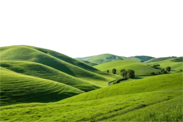 Foto op Canvas Green hills landscape cut out natural view grass beauty nature background fertile mountain white transparent farm outdoors ecosystem flora, plantation heaven panoramic view © NASSRI