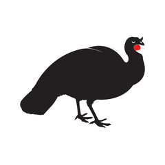 Fototapeta premium Turkey Chicken Icon