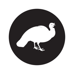 Turkey Chicken Icon