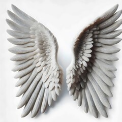 angel wings isolated 