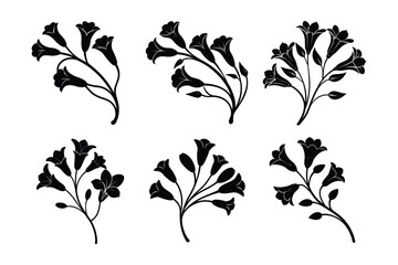 set of freesia flower vector illustration