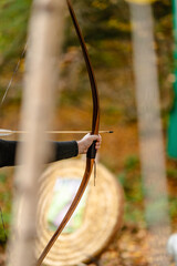 A person is holding a bow and arrow, aiming at a target