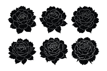 set of peony flower vector illustration