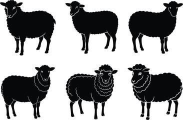 set of sheep animals vector illustration