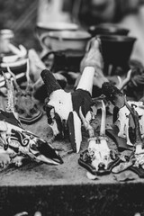 A table full of skulls and bones, some of which are painted