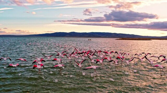 A stunning sunset scene at Işıklı Lake in Denizli, with flamingos gracefully flying over its shimmering,light-filled waters.The glowing lake and elegant birds embody nature,freedom, and serene beauty.