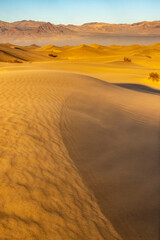 USA, California, Death Valley National Park. Mountains and blowing sand in Mesquite Dunes.