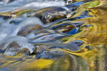 USA, California, Lundy Canyon. Eastern Sierras autumn reflection in Lundy Creek