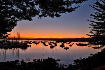 USA, California, Monterey. Monterey Bay at sunrise with silhouetted boats anchored out in the bay.
