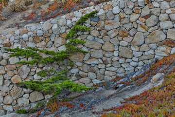 USA, California, 18 mile drive and rock wall and evergreen