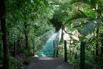 La Fortuna, Costa Rica - November 20, 2024 - the Mistico Arenal Hanging Bridges Park in Provincia de Alajuela 