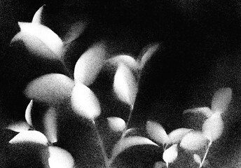 Branches with leaves. Black and white vintage illustration. Versatile artistic image for creative design projects: posters, banners, cards, magazines, prints, wallpapers. Artist-made art.