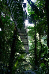 Fototapeta premium La Fortuna, Costa Rica - November 20, 2024 - the Mistico Arenal Hanging Bridges Park in Provincia de Alajuela 