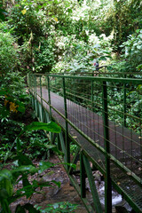 Fototapeta premium La Fortuna, Costa Rica - November 20, 2024 - the Mistico Arenal Hanging Bridges Park in Provincia de Alajuela 
