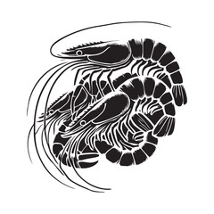 shrimp illustration