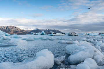 Jökulsárlón, view in Iceland 