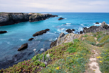 USA, California. Pacific Ocean, cliffs edge in Mendocino Headlands State Park.
