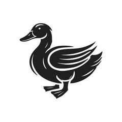 Obraz premium Duck on whitebackground