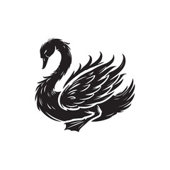 Swan on white background