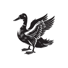 Obraz premium Duck on whitebackground